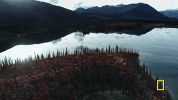 life below zero GIF by National Geographic Channel
