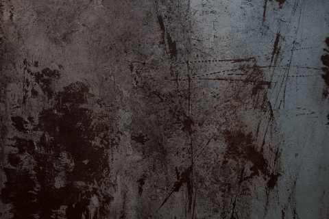 charlevisser giphygifmaker GIF