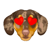 Sausage Dog Dachshund Sticker by zoopeez
