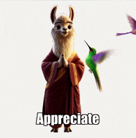Beauty Appreciate GIF by dalaillamazen