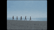 GIF by Chilli Beans