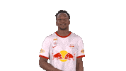 Red Bull Football Sticker by FC Red Bull Salzburg