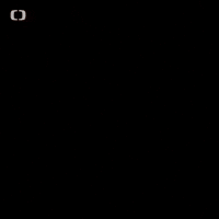 Ja Czechtv GIF by Česká televize