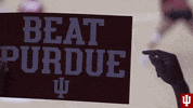 Fan GIF by Indiana Hoosiers
