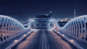 Aria Xin GIF
