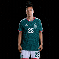 Fifa World Cup Mexico GIF by Respective