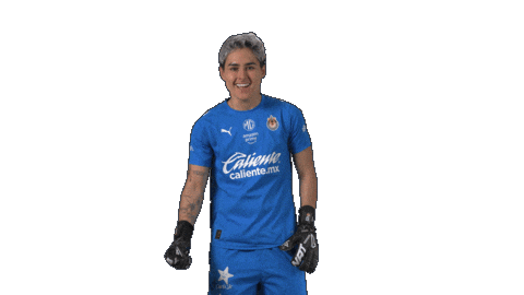 Liga Mx Futbol Sticker by Chivas Oficial