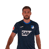 Sport Bundesliga Sticker by TSG Hoffenheim