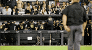 GIF by UCF Knights