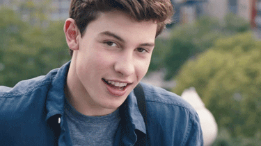 shawn mendes GIF