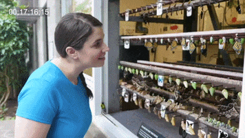 GIF by Super Simple