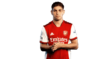 Celebrate Premier League Sticker by Arsenal