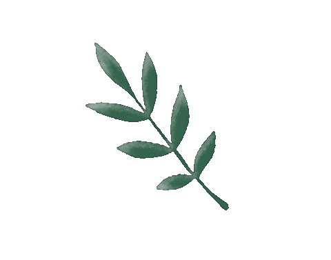 Maximeee giphyupload nature green drawing Sticker