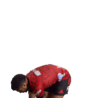 Rugby Footy Sticker by CrusadersRugbyTeam