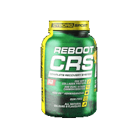 Muscle Protein Sticker by ICN QUEENSLAND