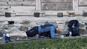 Fitness Working Out GIF by Red Bull