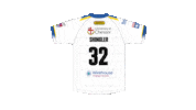 The Wire Sticker by Warrington Wolves