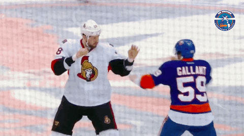 nhl GIF