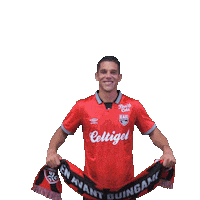 Ligue 2 Sticker by EA Guingamp