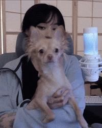 Cute Girl Dog GIF