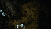 Scream Drown GIF by d4vd