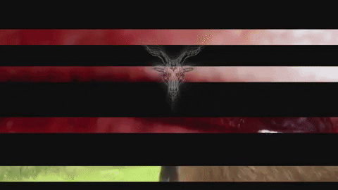 Art Video GIF by jorgemariozuleta