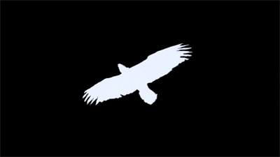 black and white art GIF by Will Kim