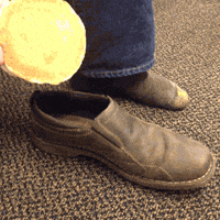 humor lol GIF by Lance Ford