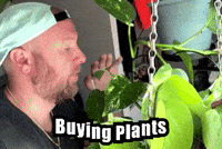 Office Garden GIF by Mike Hitt