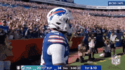 National Football League GIF by NFL
