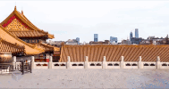 china peking GIF