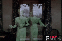 criterion collection wtf GIF by FilmStruck