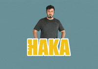 New Zealand Nz GIF by NZVISTO