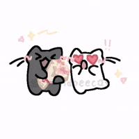 Cat Love GIF