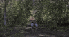 Kids Running GIF by VVS FILMS