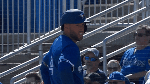 Blue Jays What GIF by Toronto Blue Jays