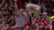 Happy World Cup GIF by World Rugby