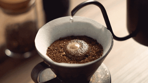 cunyi giphyupload GIF