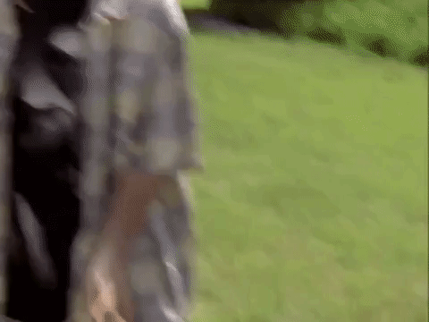 the mystery files of shelby woo nicksplat GIF