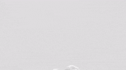 Smoke Simulation GIF by tokyomegaplex