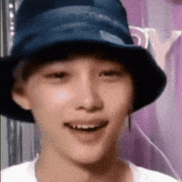 Stray Kids Skz GIF