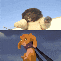 Black Dog Samba GIF by Dr. U Hair and Skin Clinic