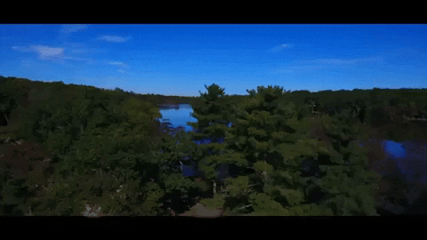 new jersey GIF