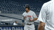 Regular Season Sport GIF by MLB