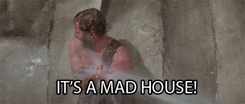 planet of the apes its a mad house GIF