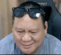 Prabowo Sawit GIF