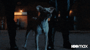 Barking Good Boy GIF by Max