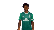 An17 Sticker by SV Werder Bremen