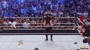 wwe sports wwe wrestling 2010 GIF