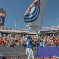Southern Methodist University Dallas GIF by SMU Football